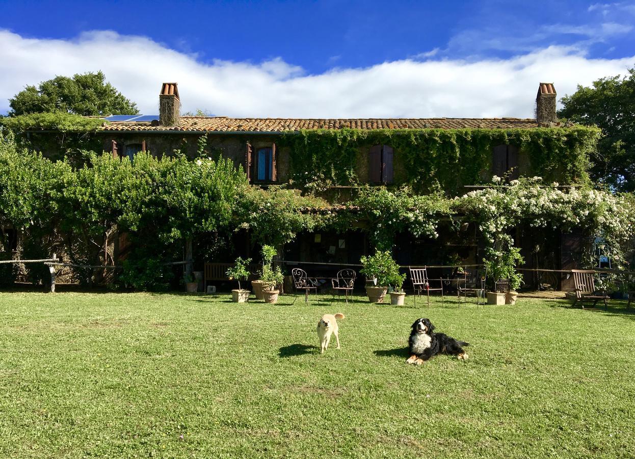 Bed And Breakfast Dopo Il Settimo Cielo Lubriano Exteriör bild